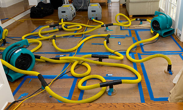 Professional Flood Damage Restoration technician working in Saint Michaels, AZ